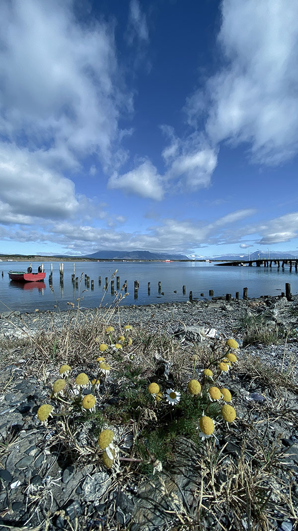 Puerto Natales 1